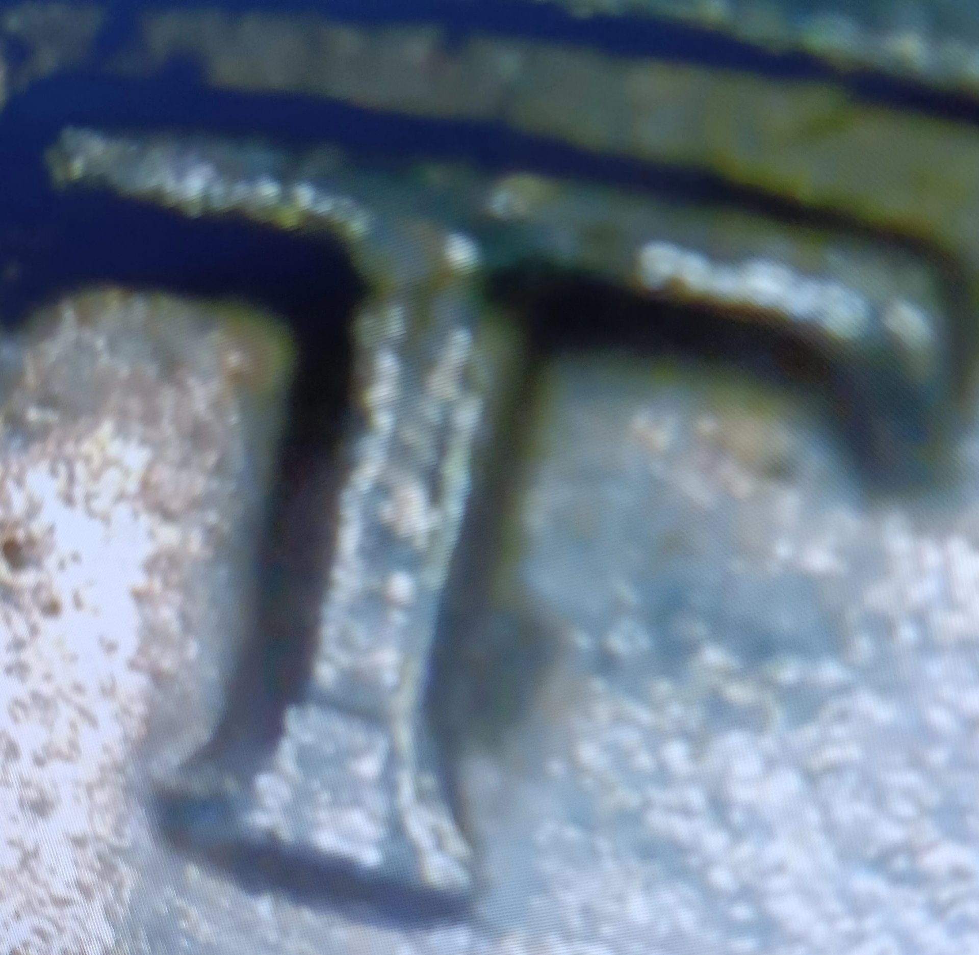 20240203_065435.jpg