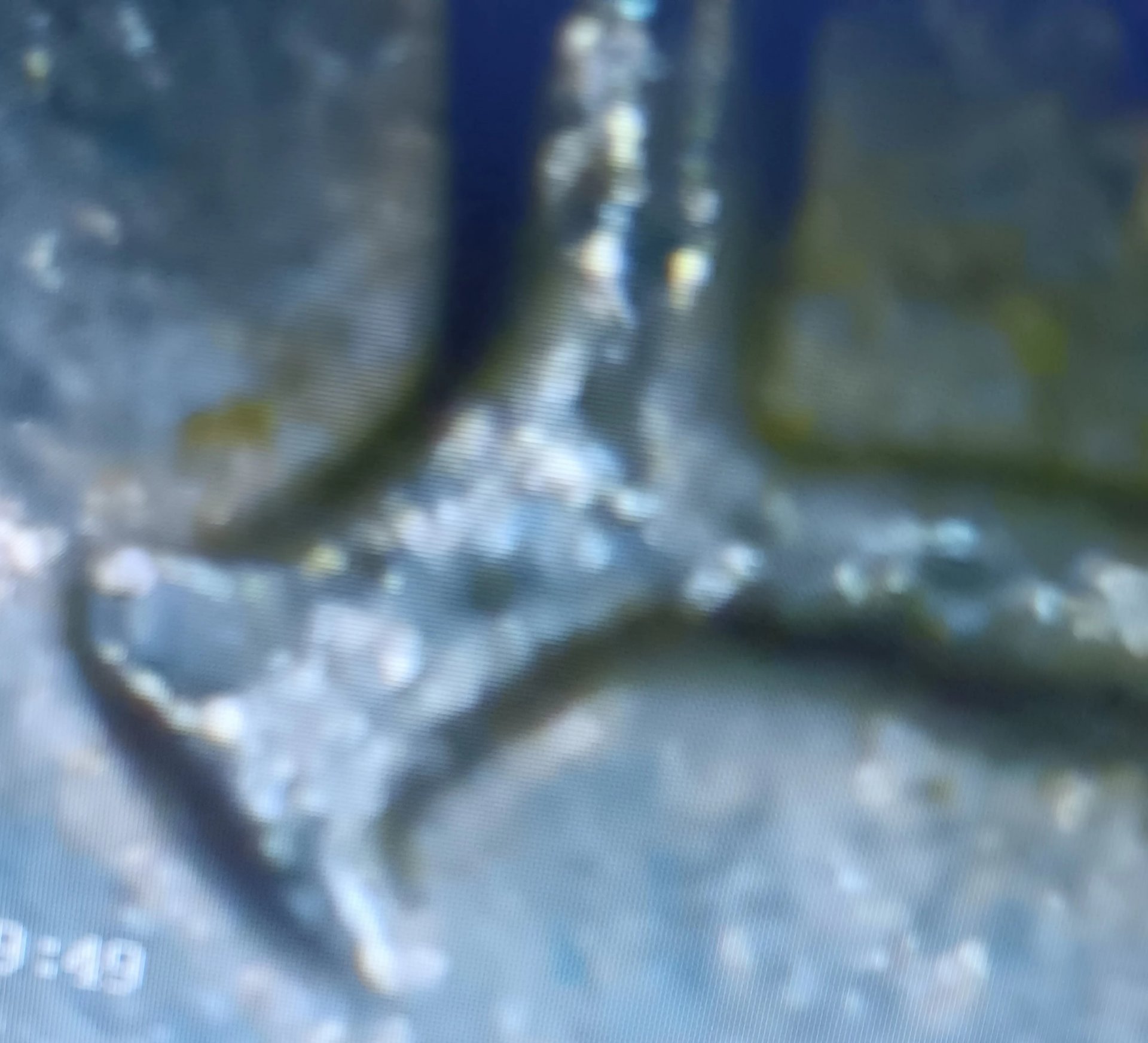 20240203_065506.jpg