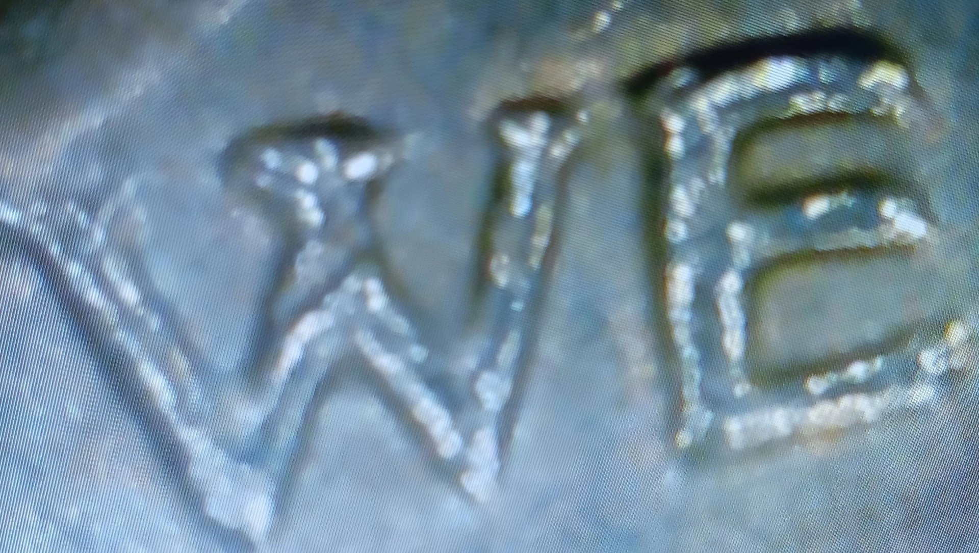 20240203_065546.jpg