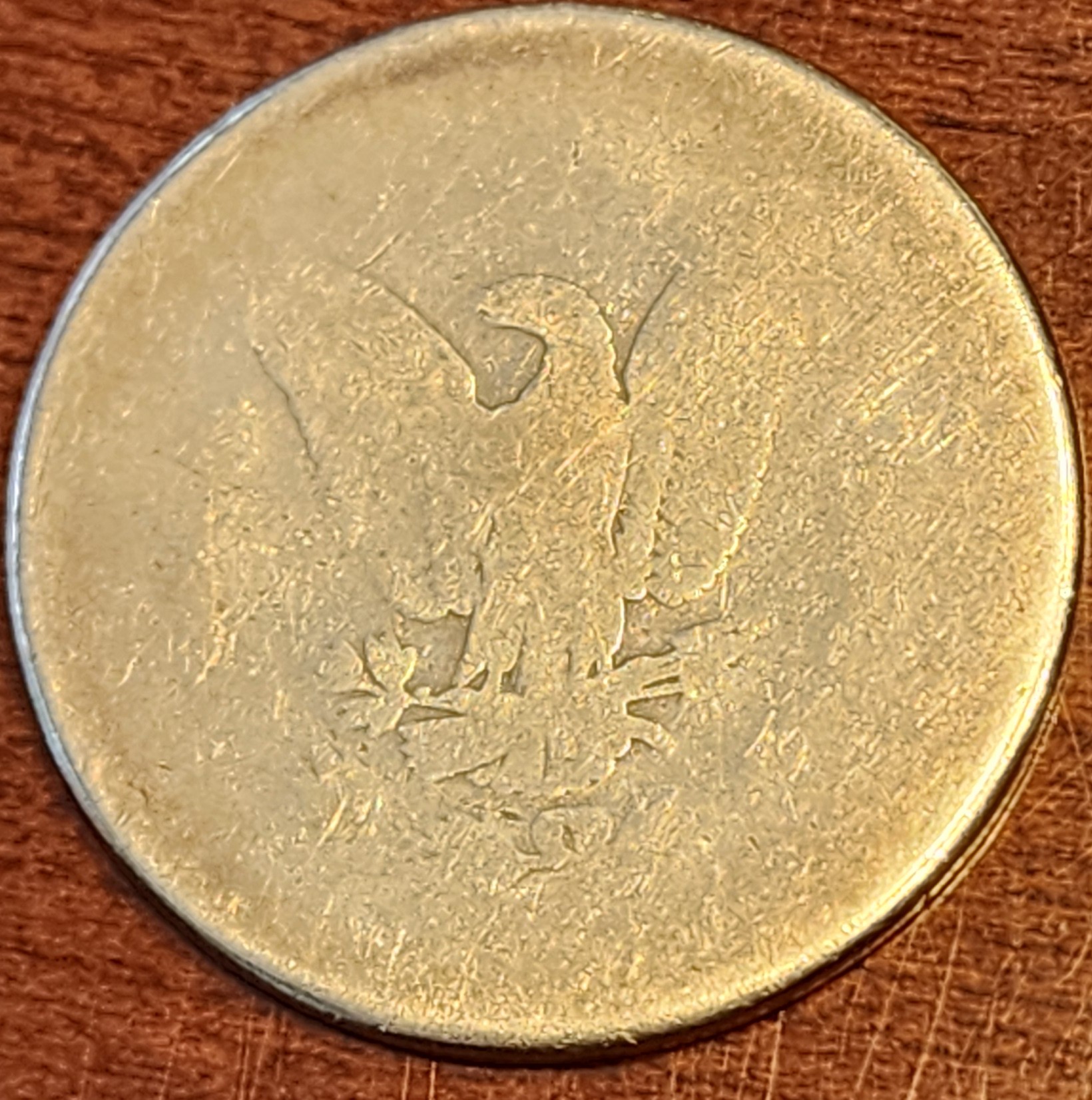 20240215_160159.jpg