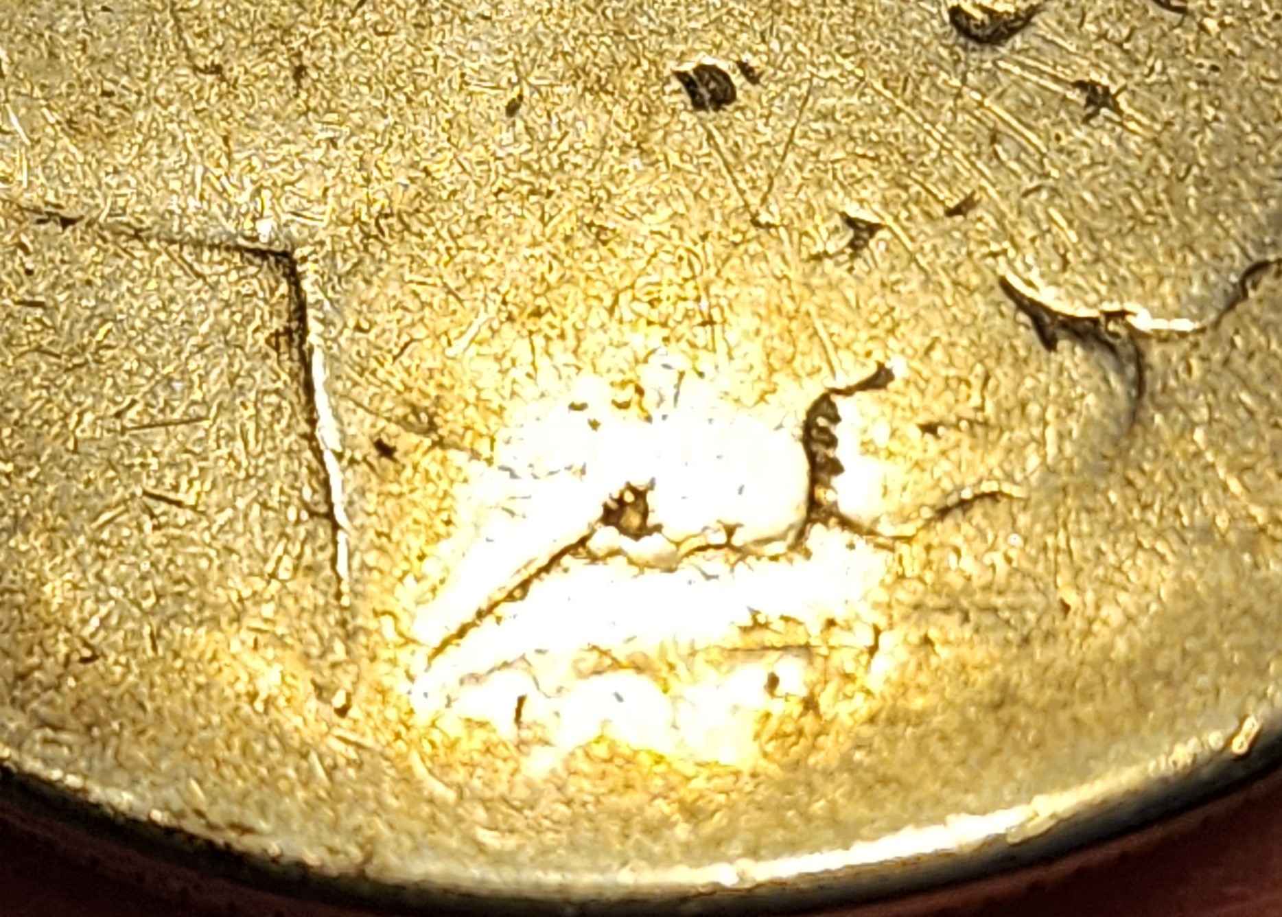 20240215_160415.jpg