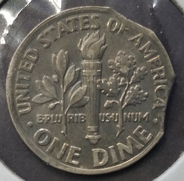 20240220_162542.jpg