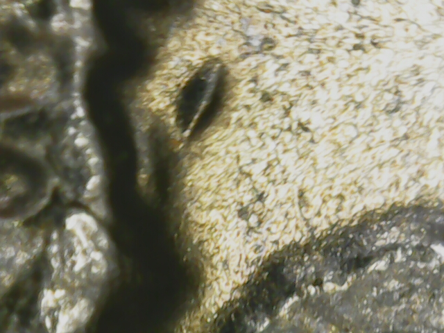 20240226_16_37_55.png