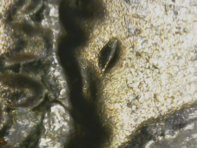 20240226_16_37_57.png