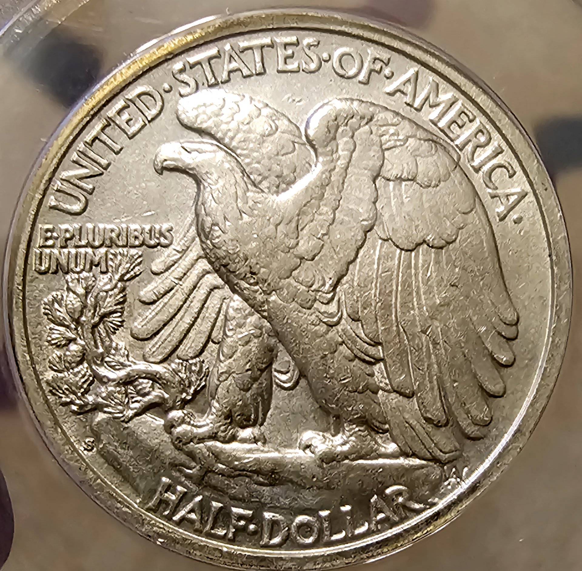 20240227_183715.jpg