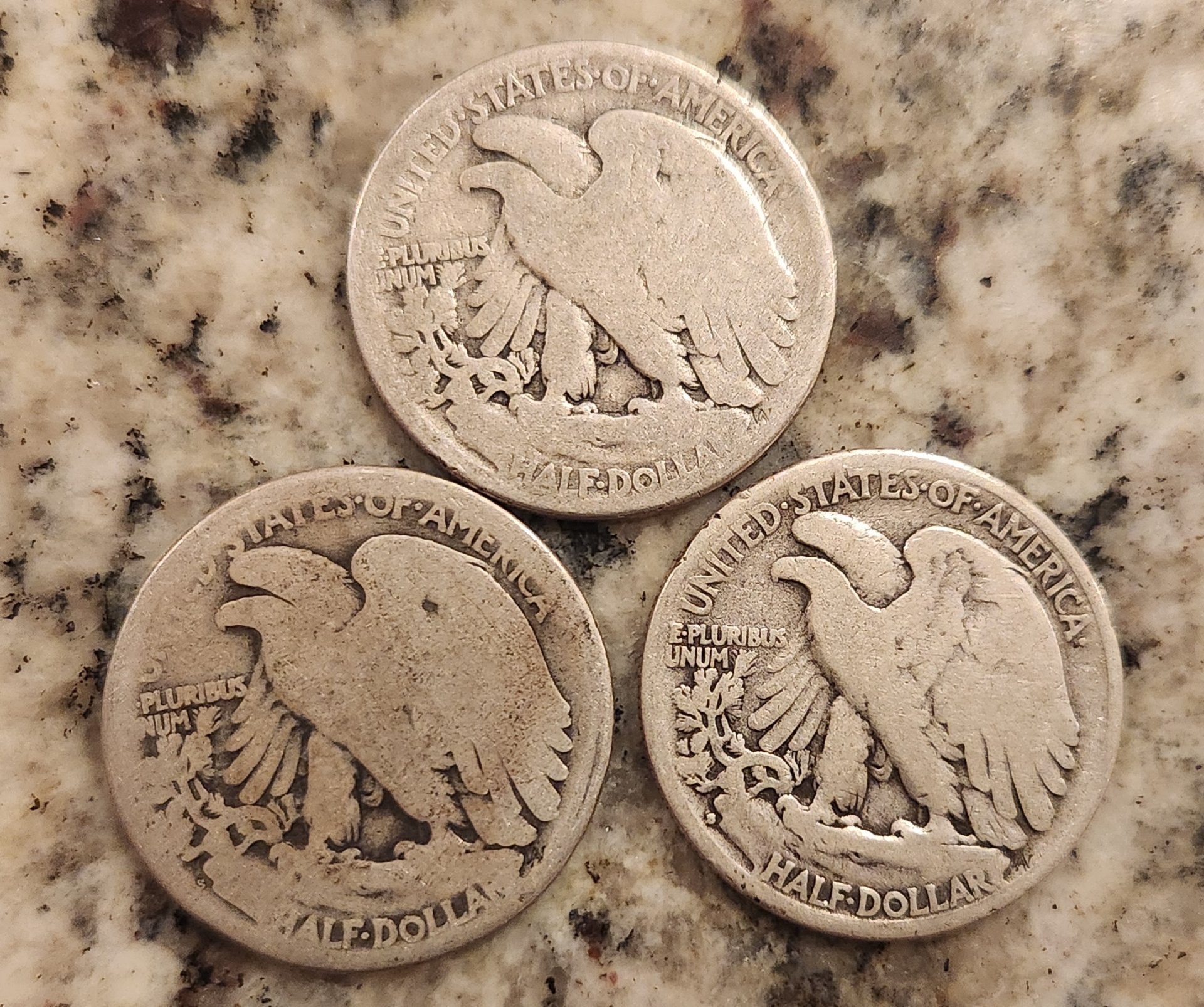 20240311_192954.jpg