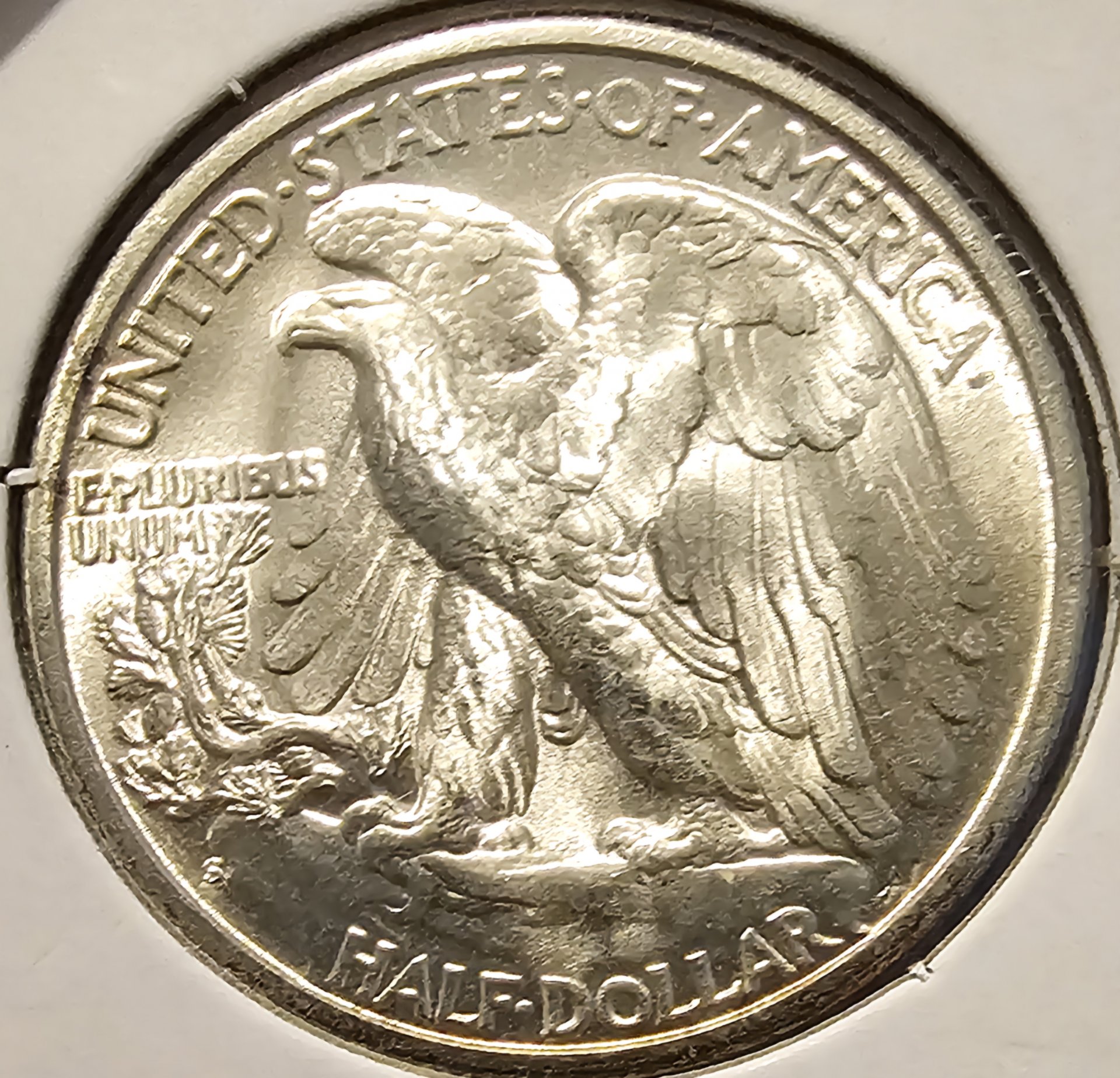 20240330_195251.jpg