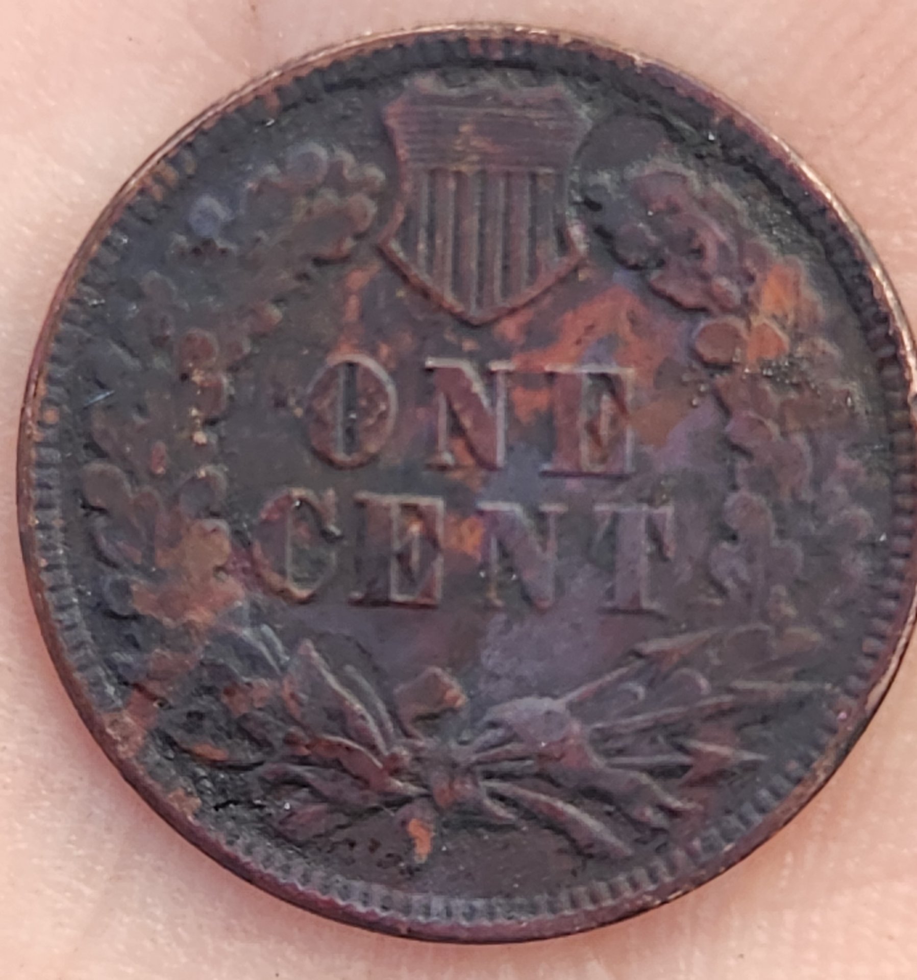 20240627_194950.jpg