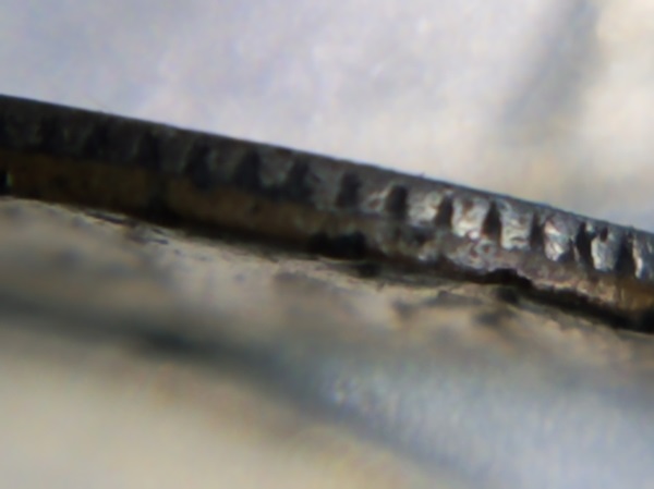 20240629_202117.jpg