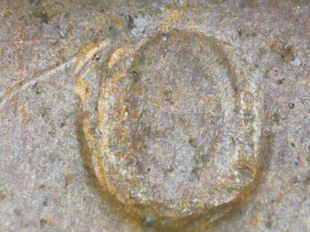 20240716_11_12_42.png