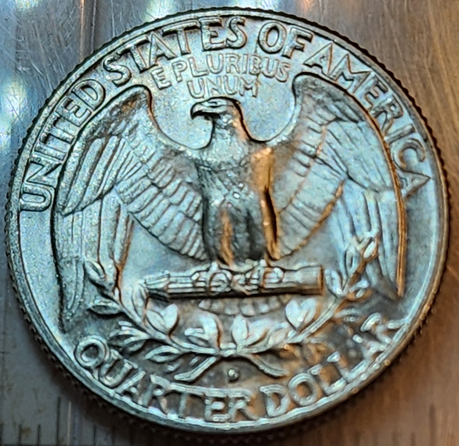 20240825_171333.jpg