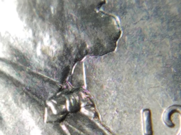 20240913_232039.jpg