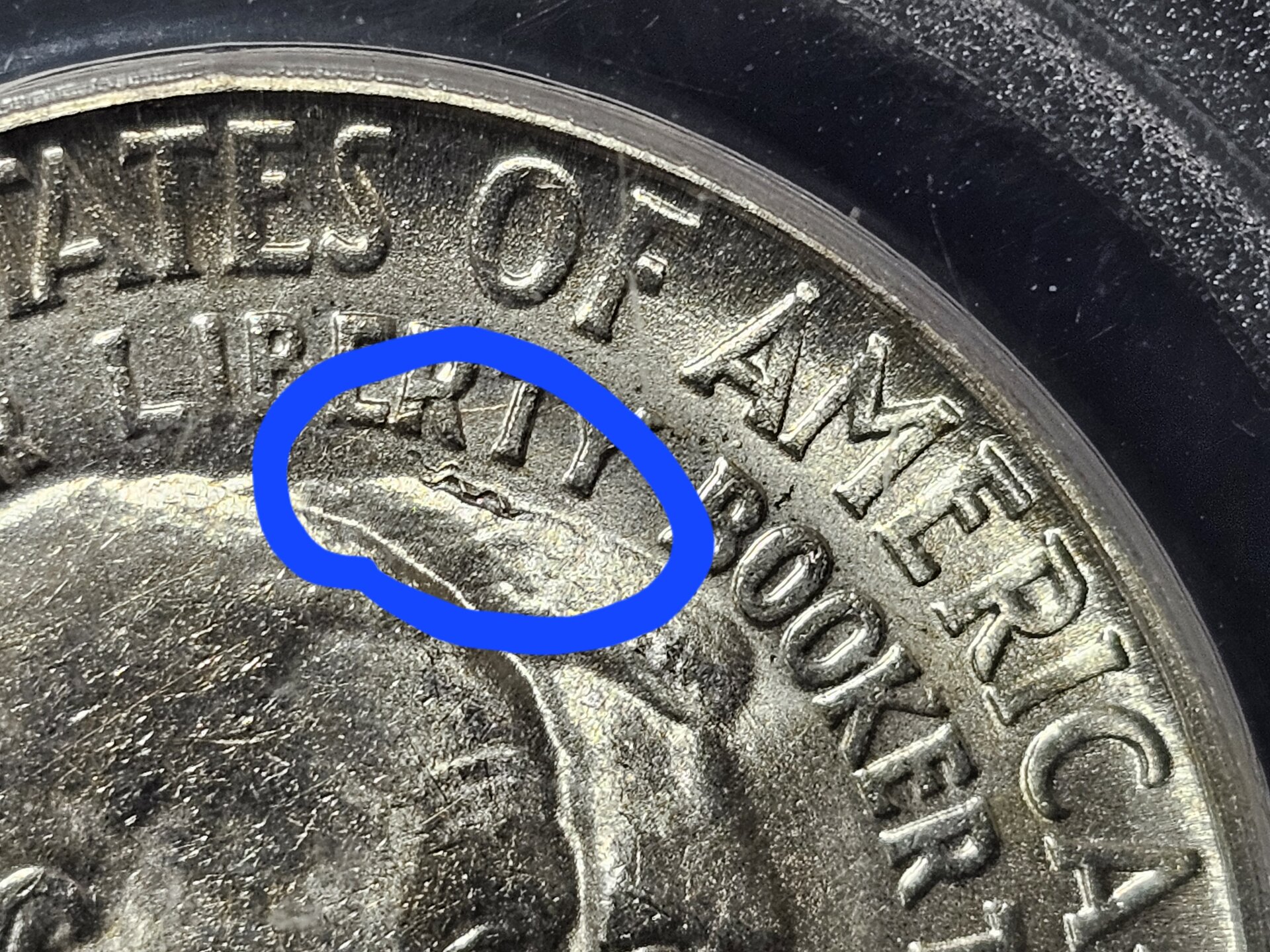 20240917_201905.jpg