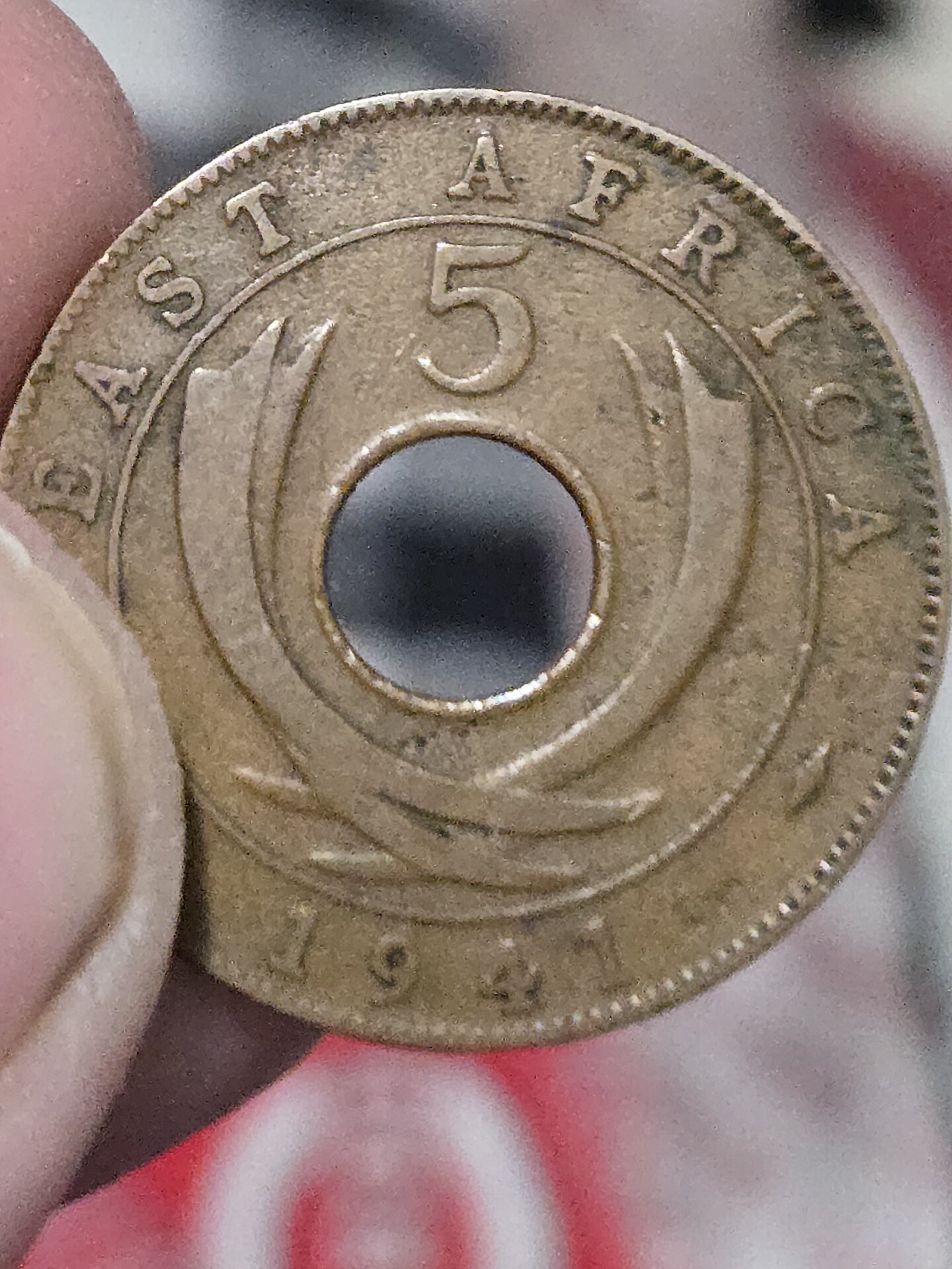 20241009_210825.jpg