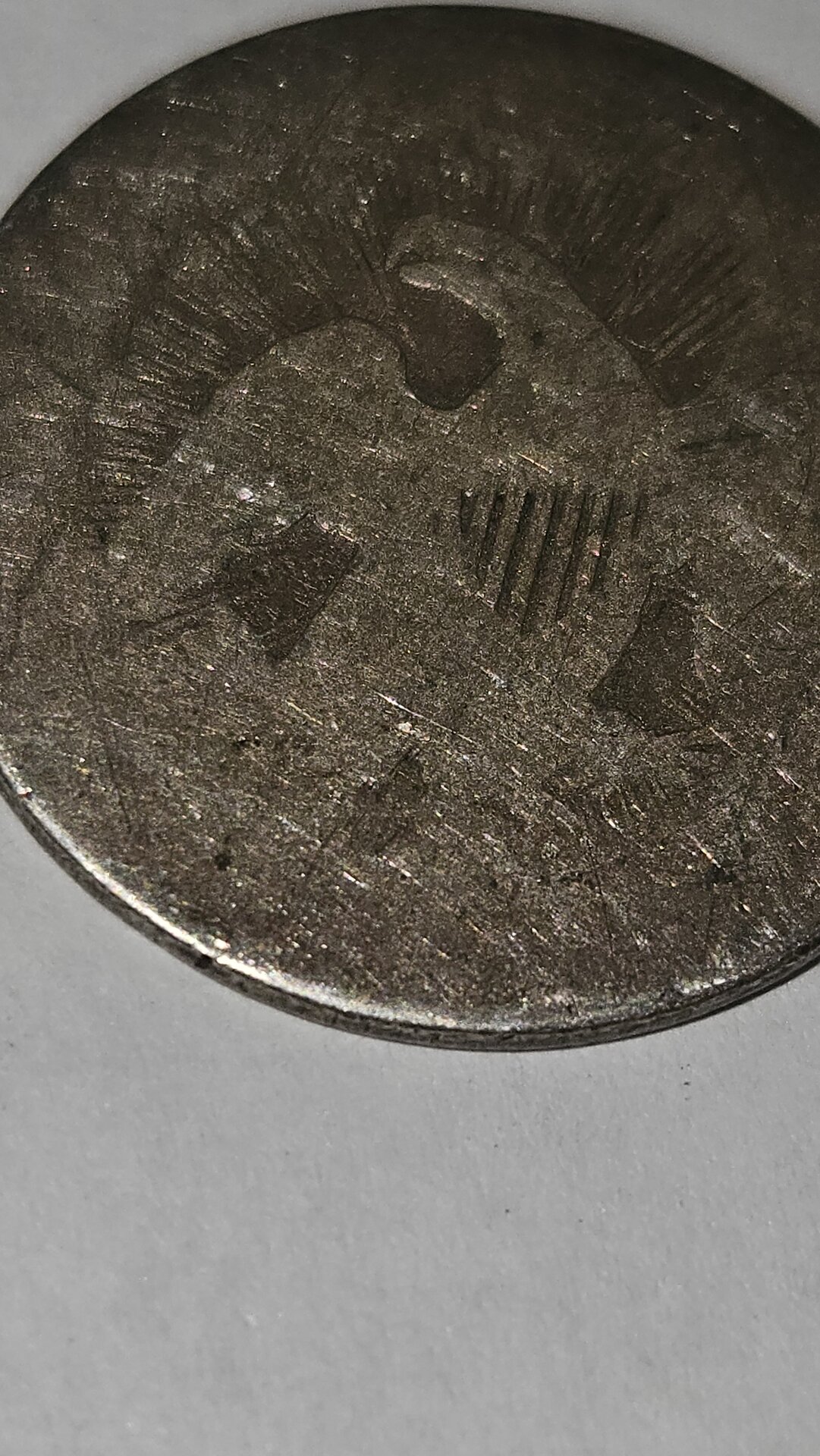 20241113_094101.jpg