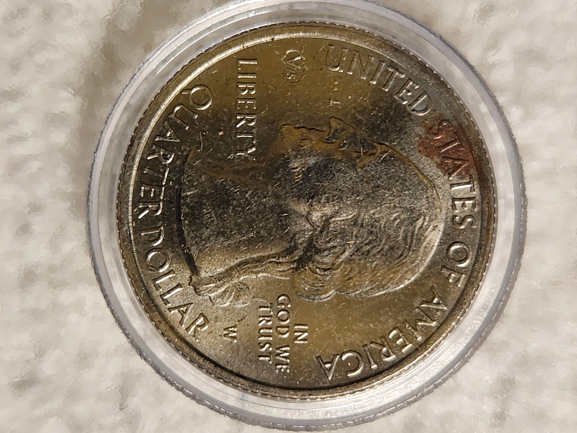 20241114_043824[1].jpg