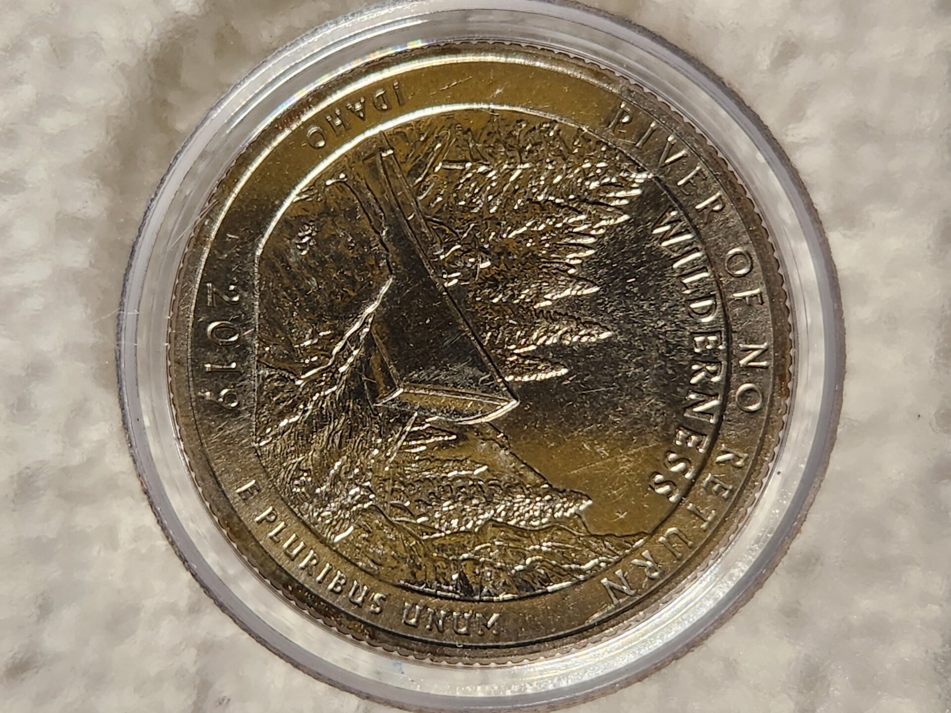 20241114_043855[1].jpg