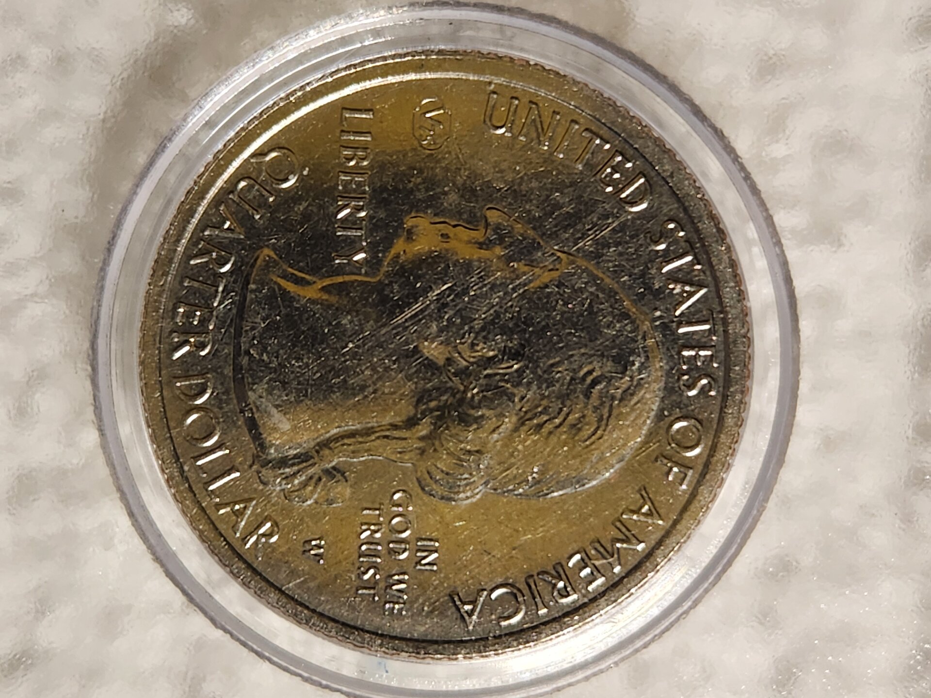 20241114_043915[1].jpg