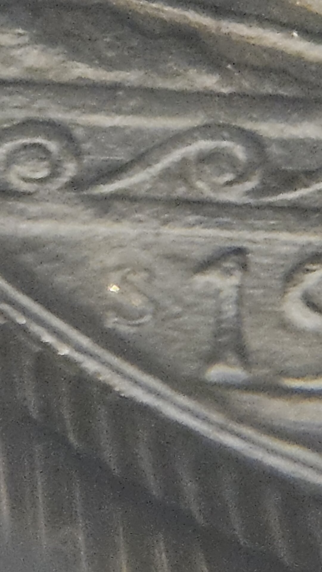 20241114_104512.jpg