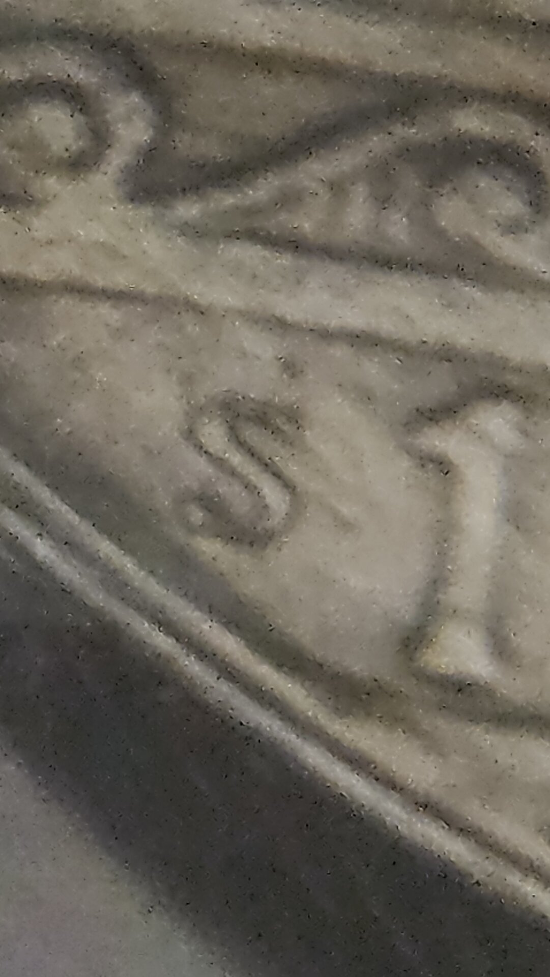 20241114_104531.jpg