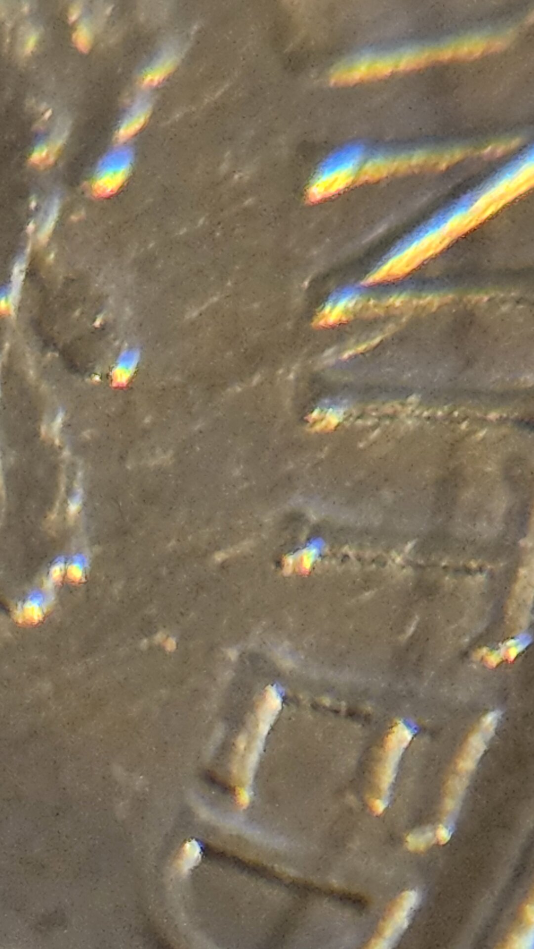 20241115_165338.jpg