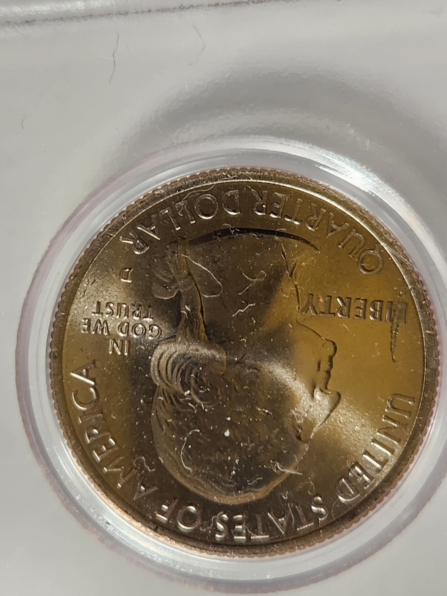 20241121_013942[1].jpg