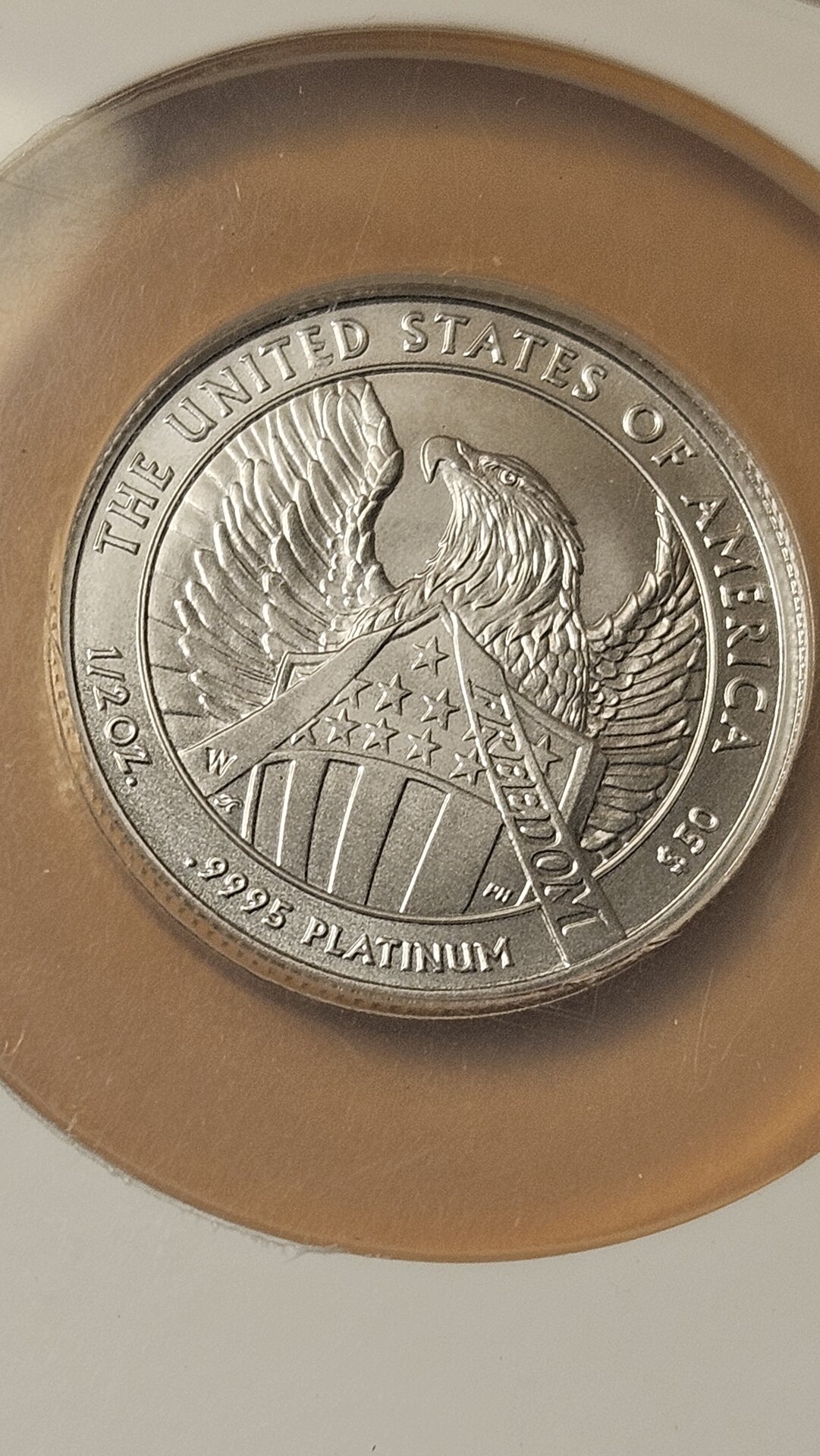 20241122_194434.jpg