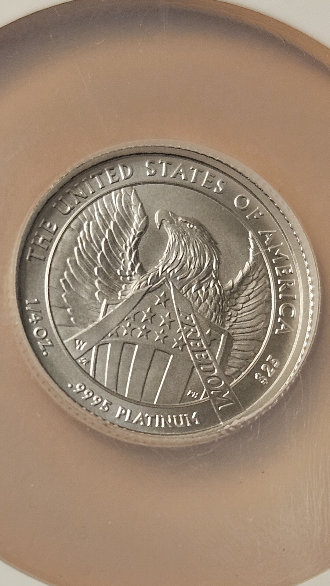 20241122_194442.jpg
