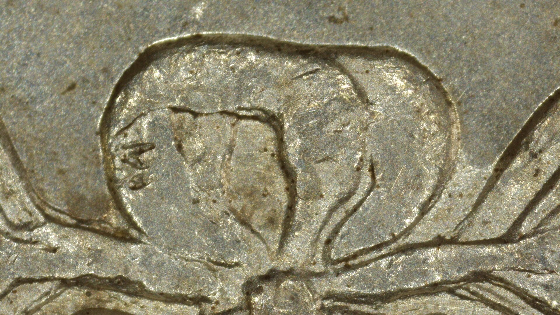 20241124_164743.JPG