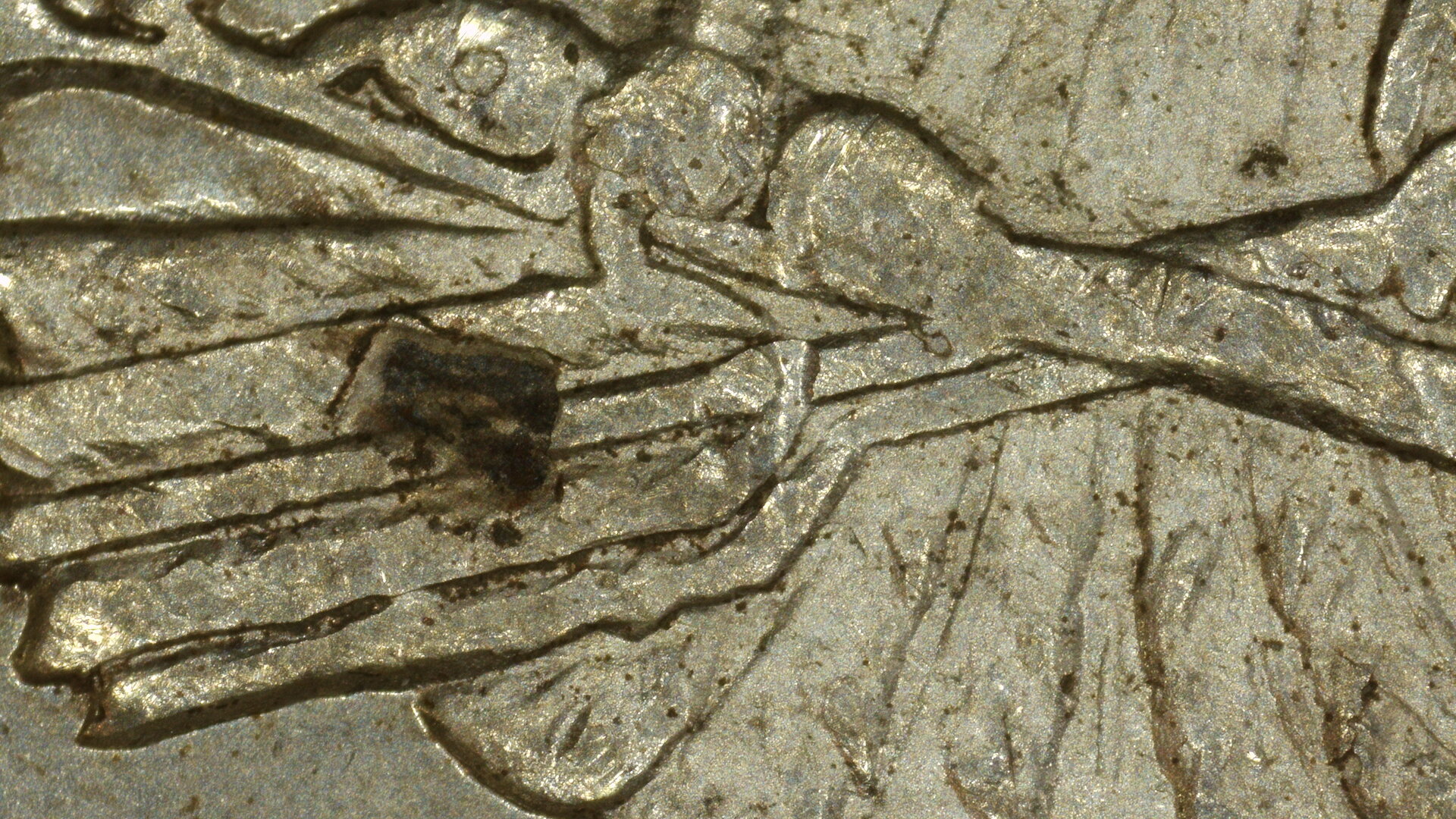20241124_164851.JPG