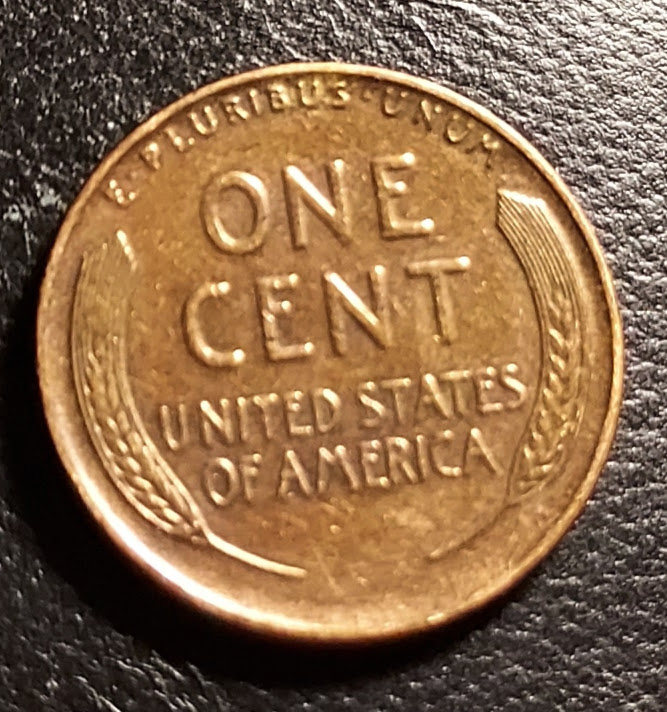 20241126_162929.jpg