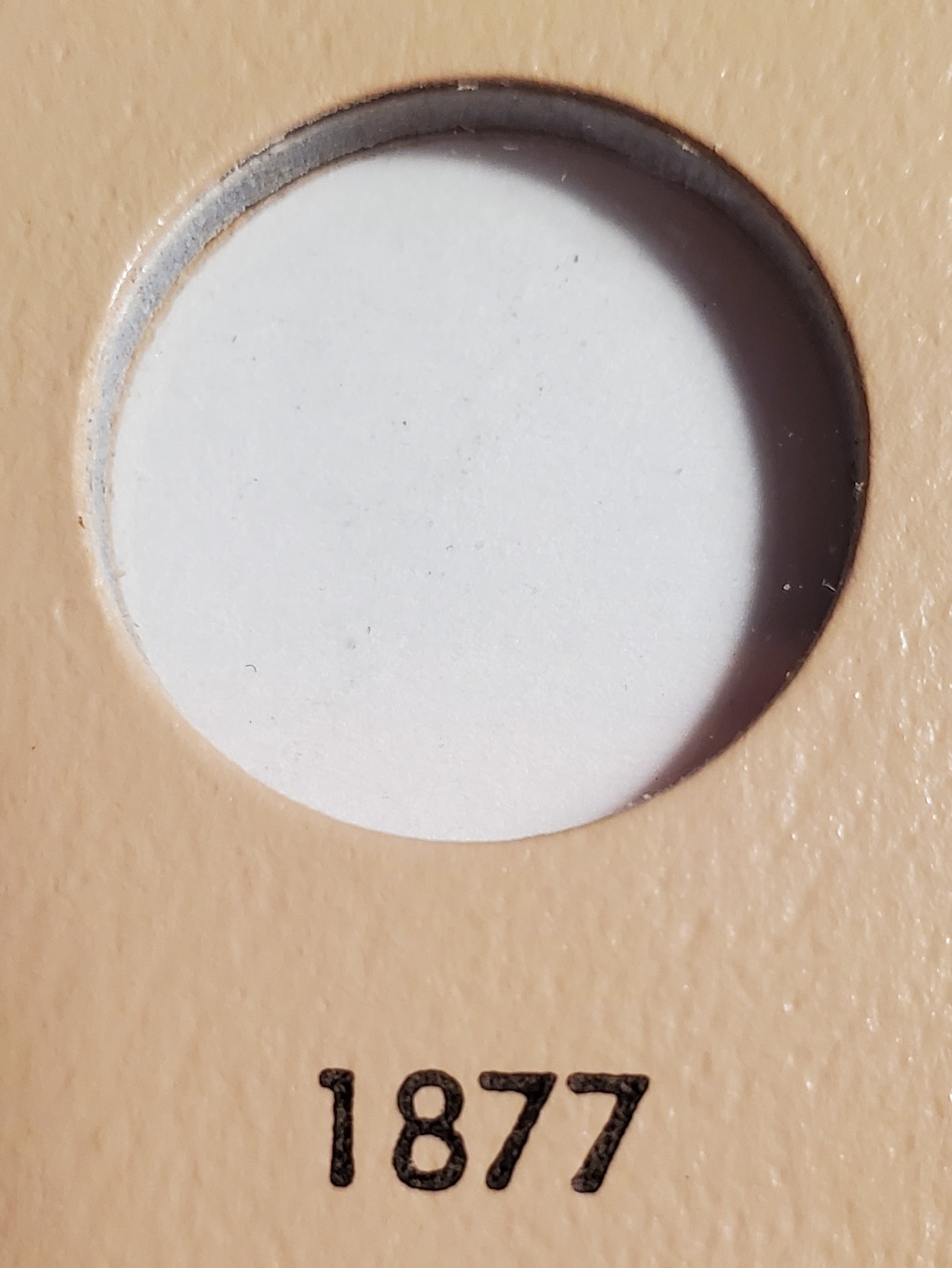 20241129_162101.jpg