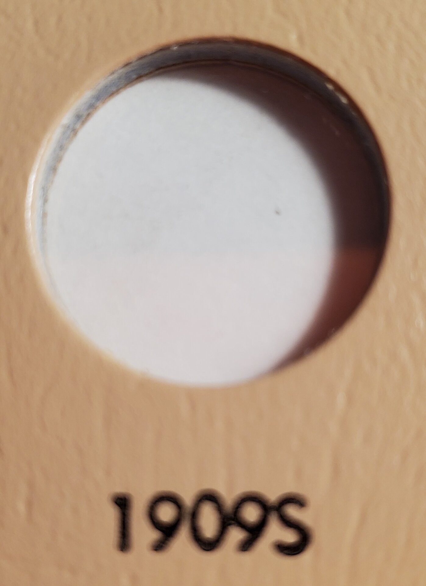 20241129_162126.jpg