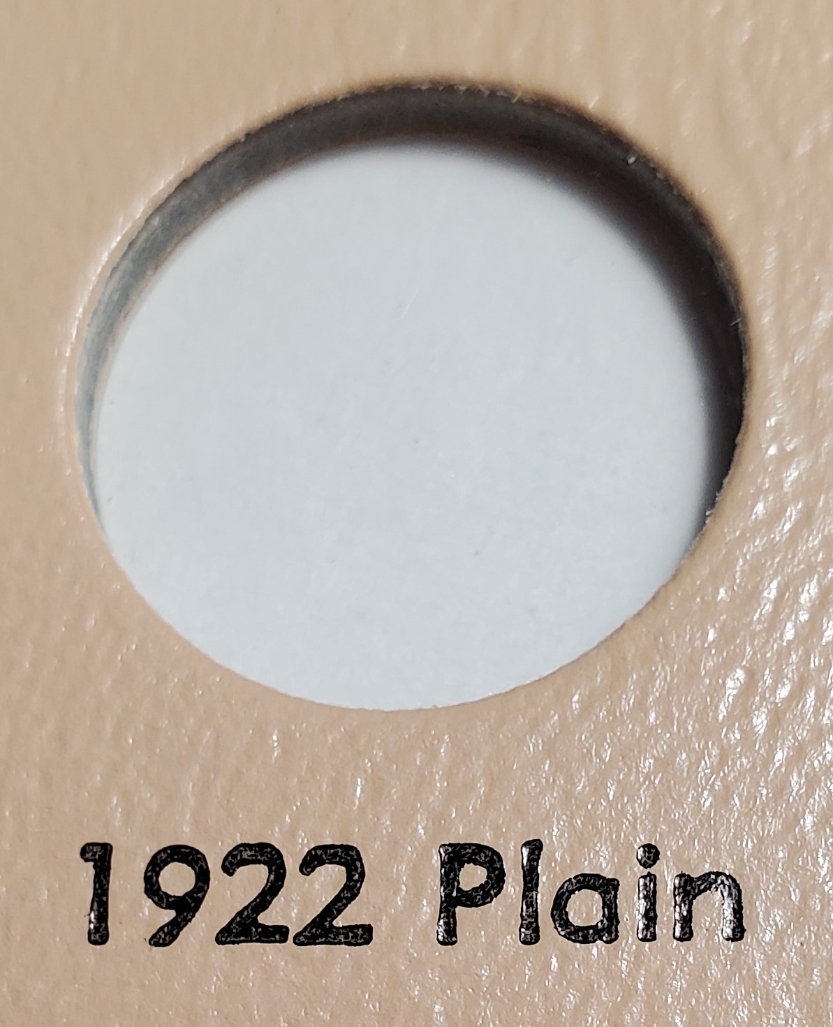 20241129_162225.jpg