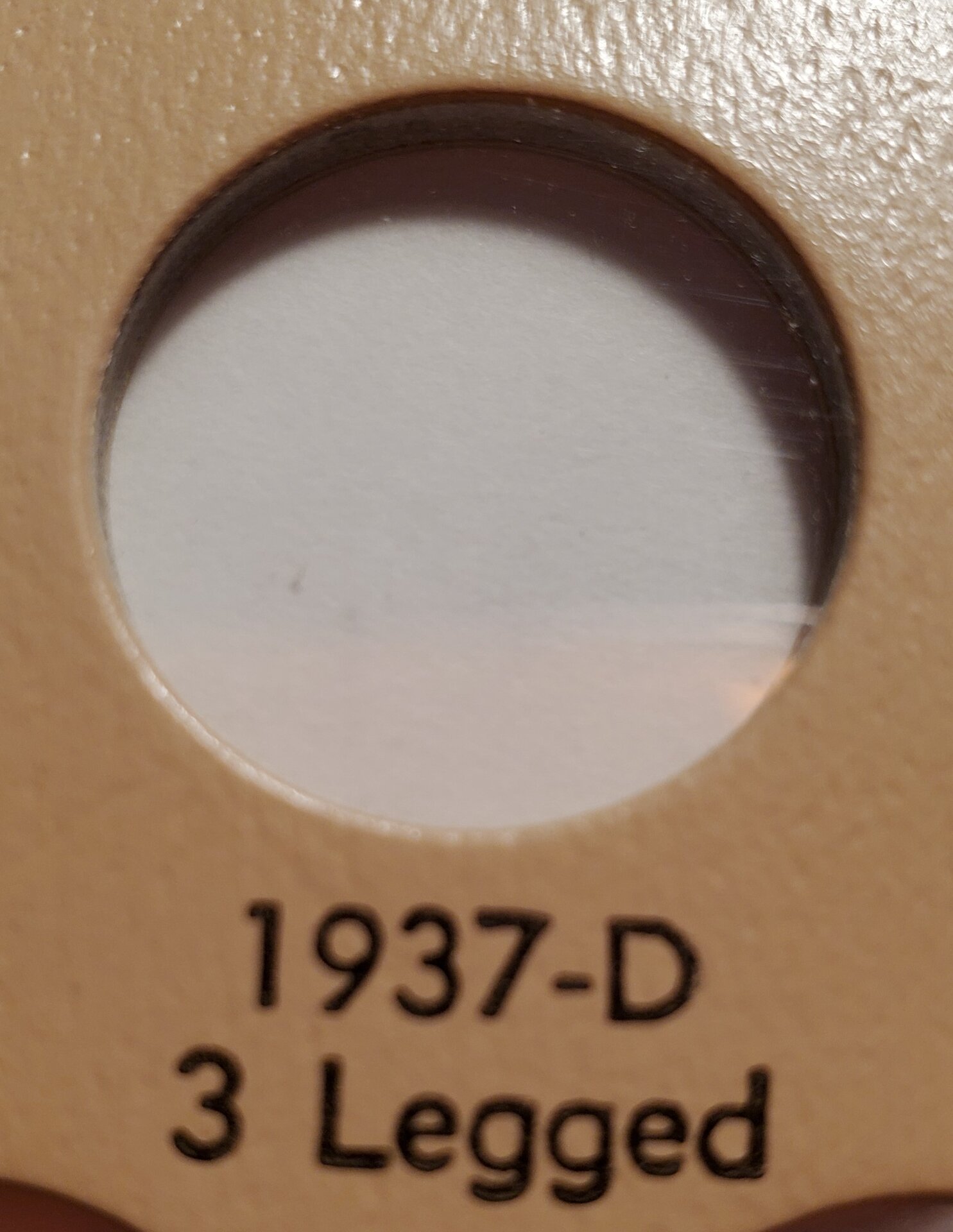 20241129_162448.jpg
