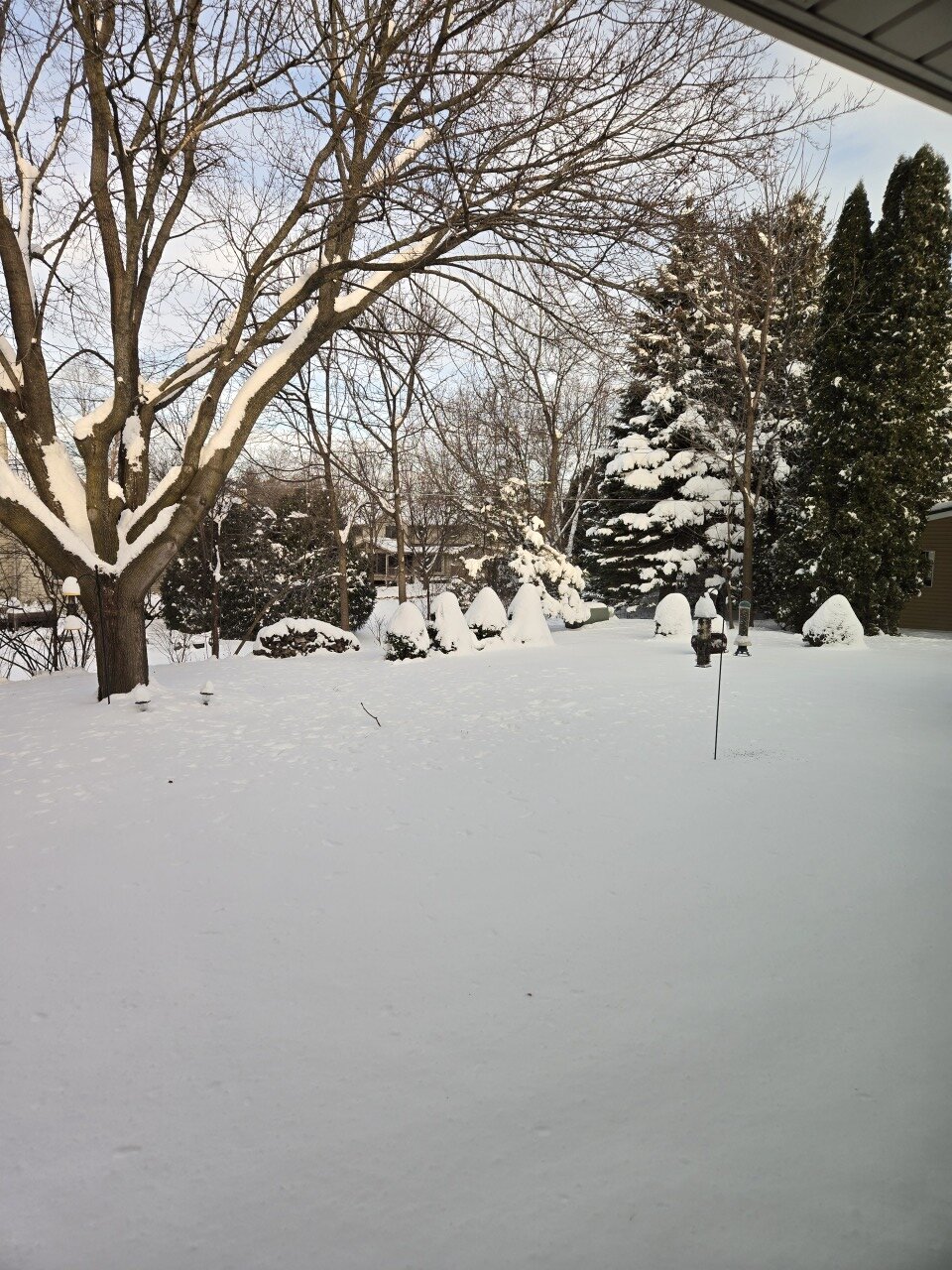 20241221_083157.jpg