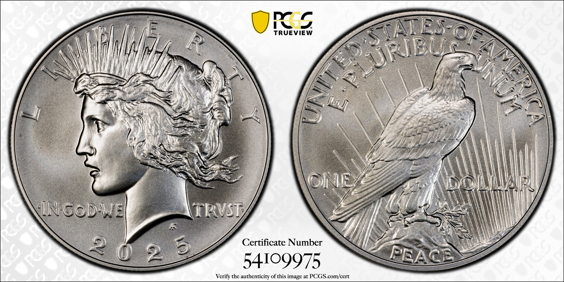 2025 $1 Peace Dollar First Strike.jpg