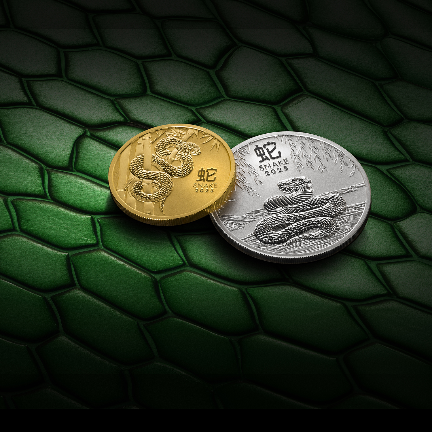 2025-Gold&Silver Snake-1500x1500.jpg
