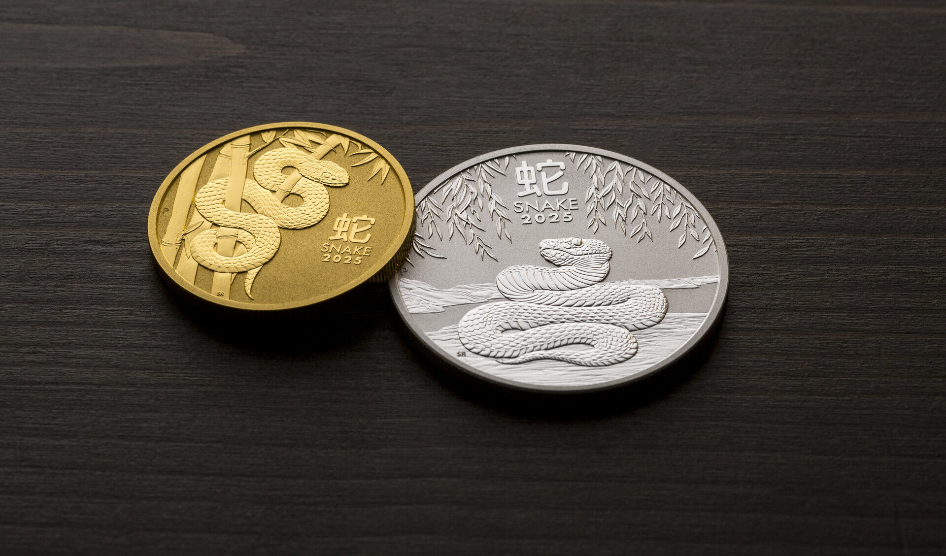 2025-Gold&Silver Snake.jpg