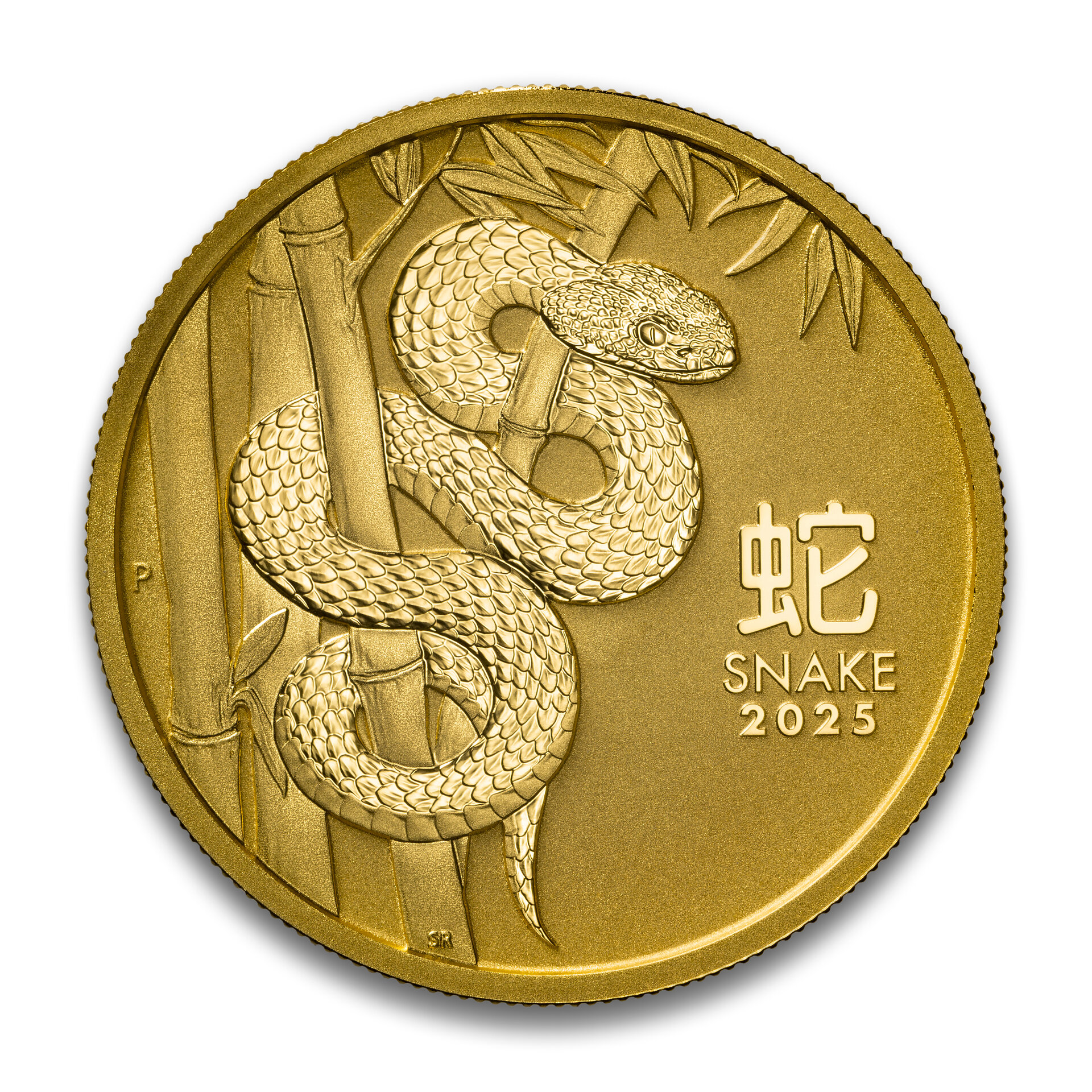 2025 Gold Snake.jpg