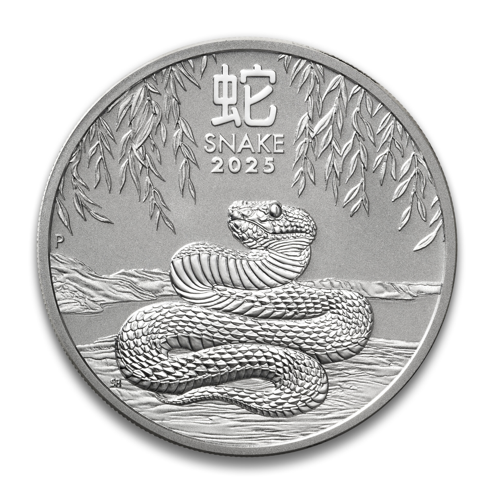 2025 Silver Snake.jpg