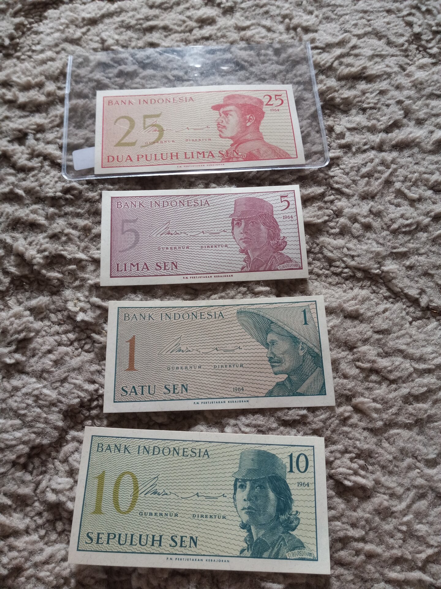 20250301_144449.jpg
