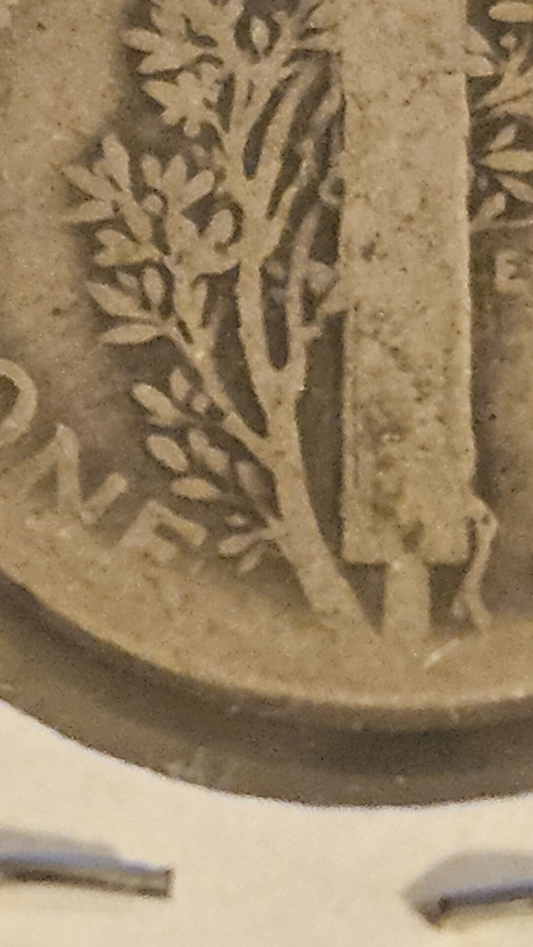 20250306_210733.jpg