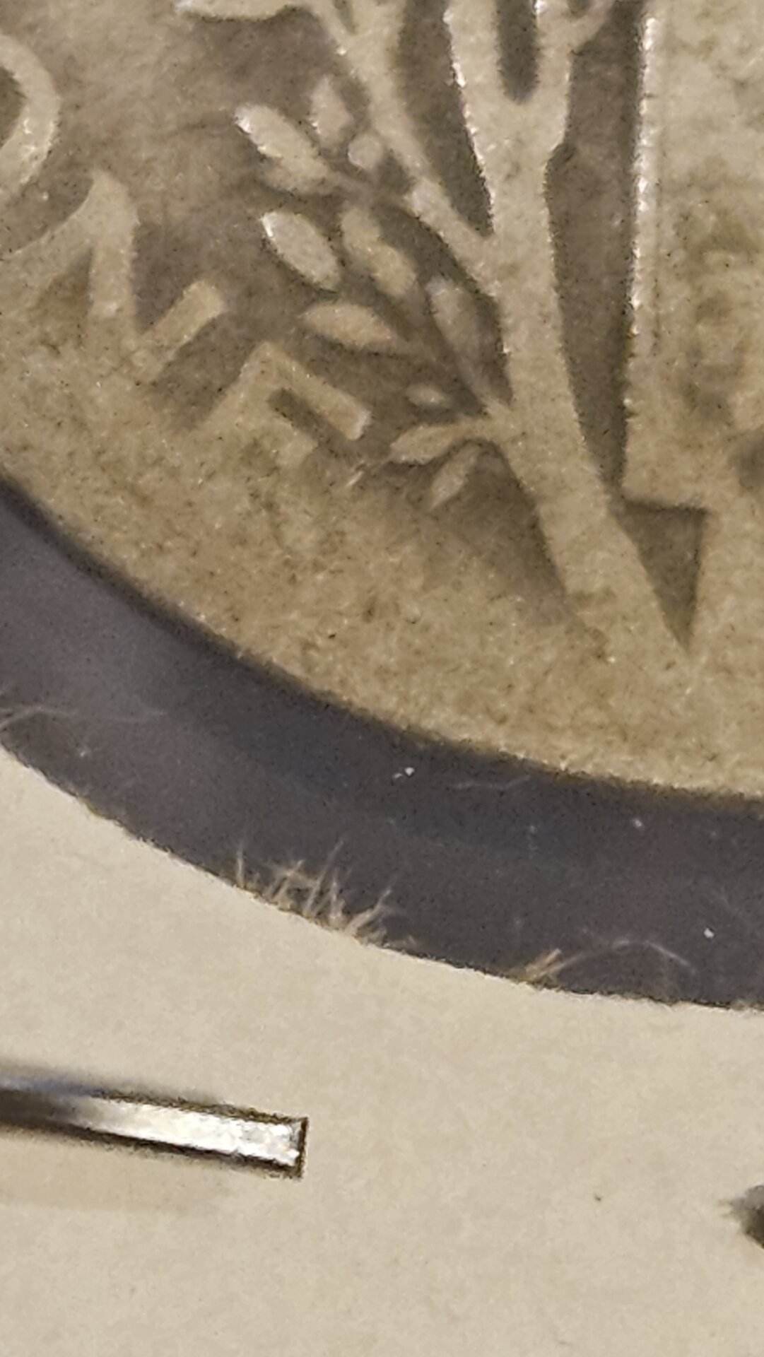 20250306_210826.jpg