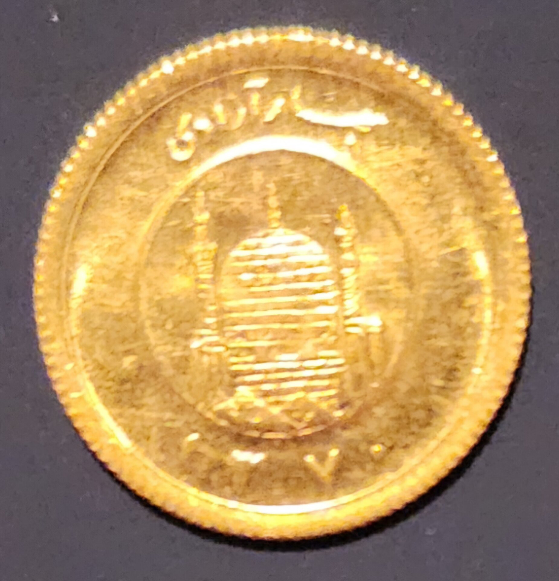 20250319_185959.jpg
