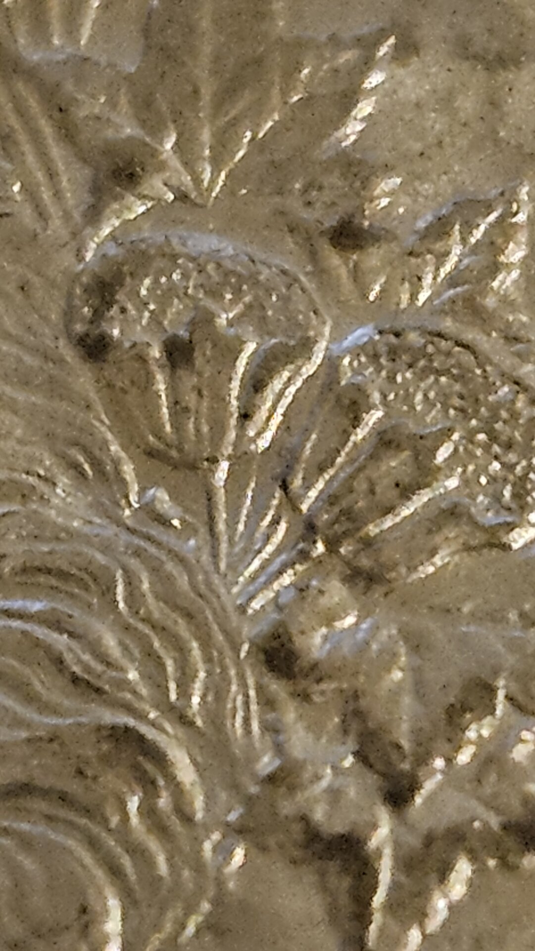 20250405_231205.jpg
