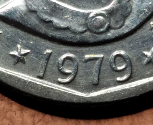 20250504_074039.jpg