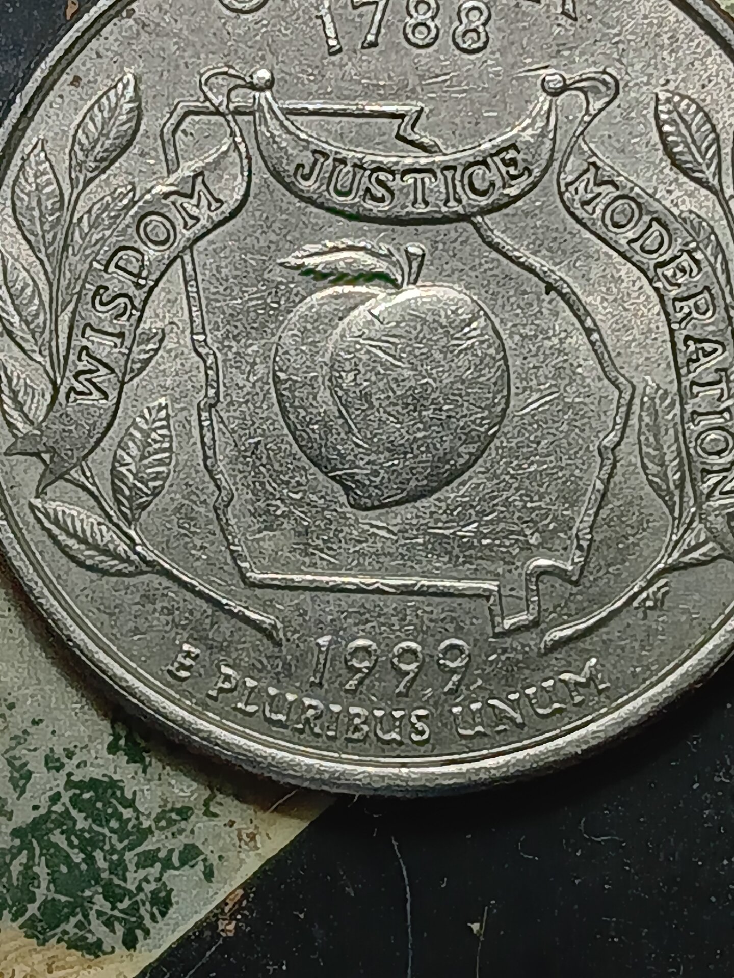 20250611_210842.jpg