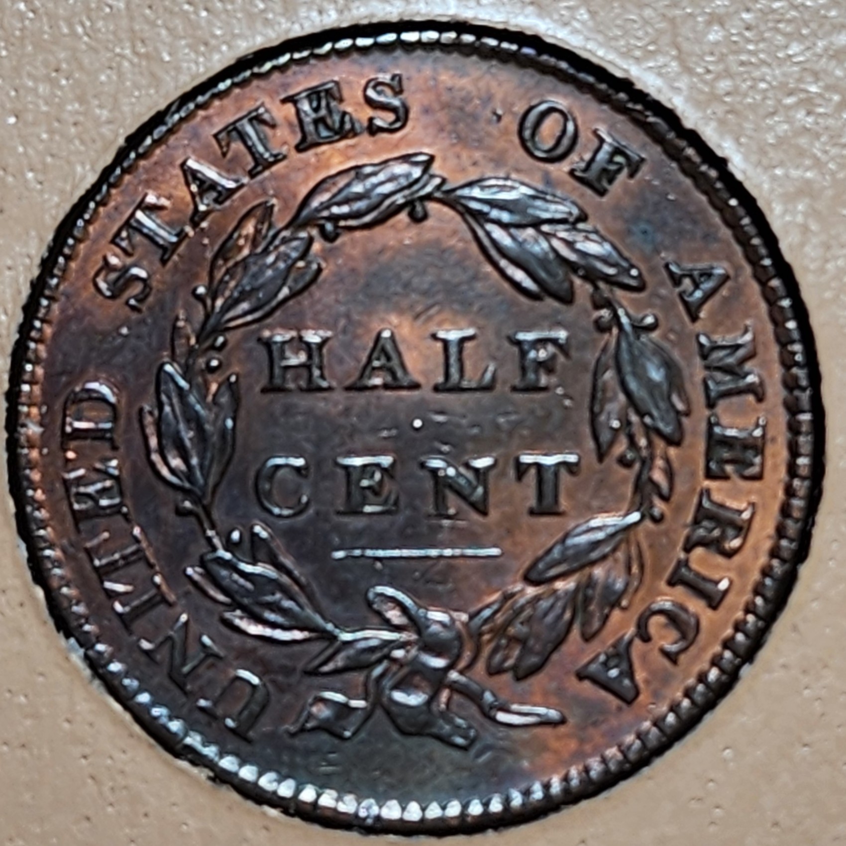 20250724_194920.jpg
