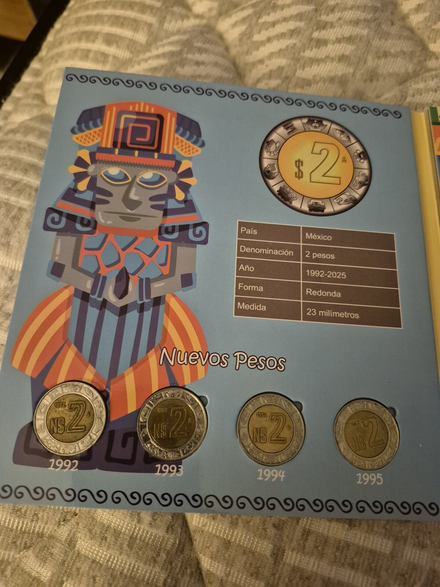20250727_194951.jpg